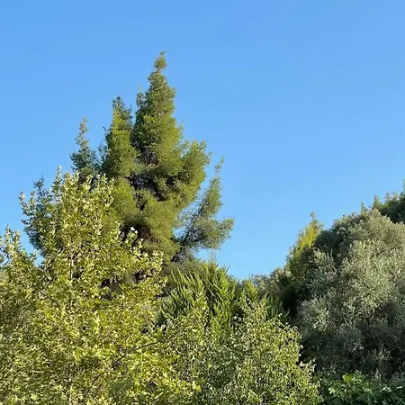 Διαμέρισμα Stories & So Άγιος Νικόλαος