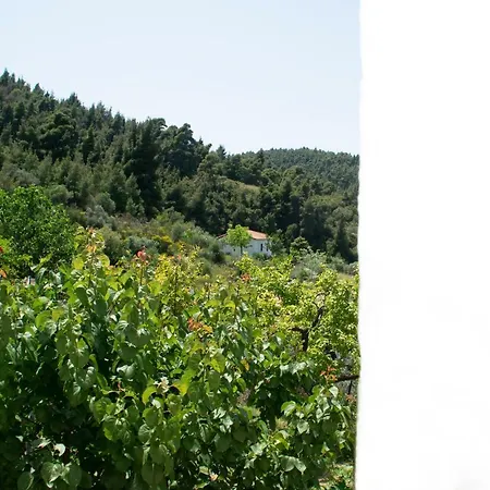 Stories & So Διαμέρισμα *